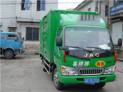 小號車型1.png